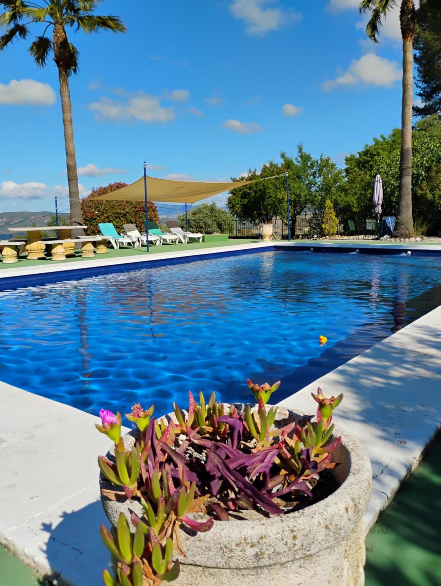 La Casita, Zagra Villa La Carrera de la Viña Exteriör bild