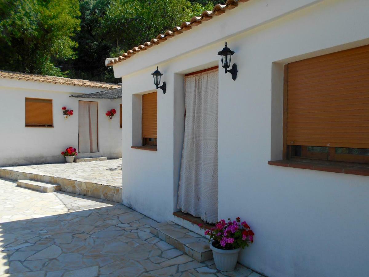 La Casita, Zagra Villa La Carrera de la Viña Exteriör bild