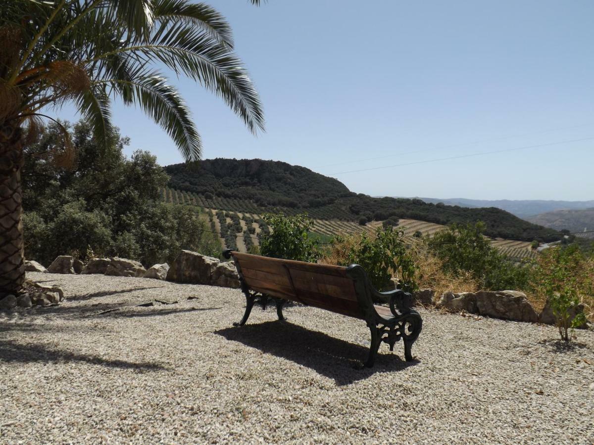 La Casita, Zagra Villa La Carrera de la Viña Exteriör bild