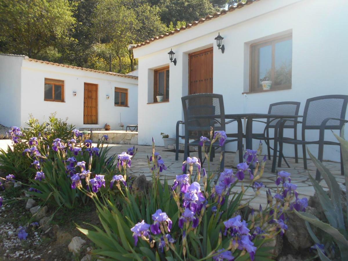 La Casita, Zagra Villa La Carrera de la Viña Exteriör bild