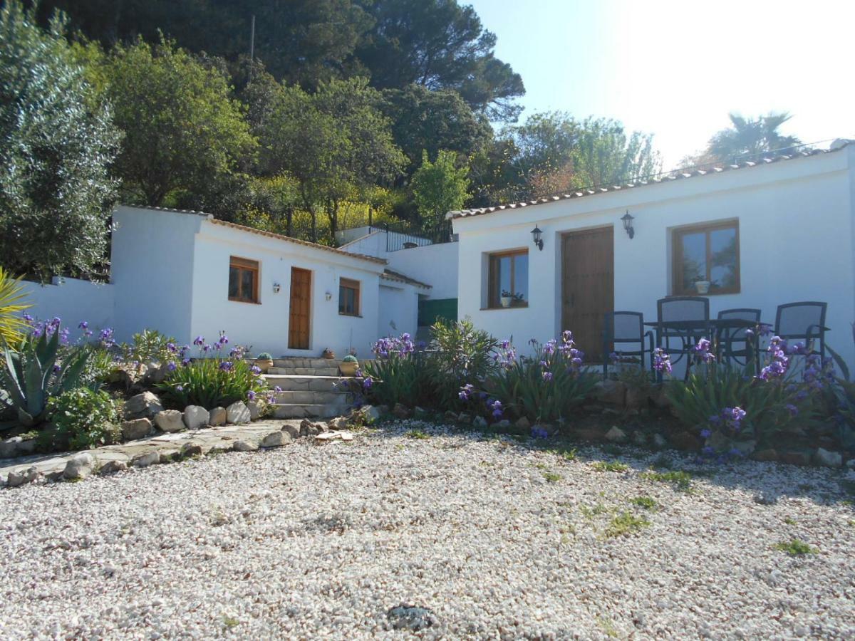 La Casita, Zagra Villa La Carrera de la Viña Exteriör bild